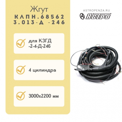 Wiring harness for controller КЛПН.685623.013-Д -246 (4 cyl.)