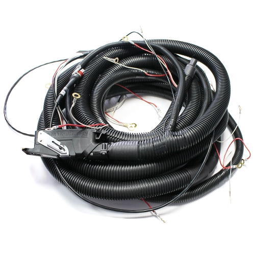 Wiring harness for controller КЛПН.685623.013-Д -246 (4 cyl.)